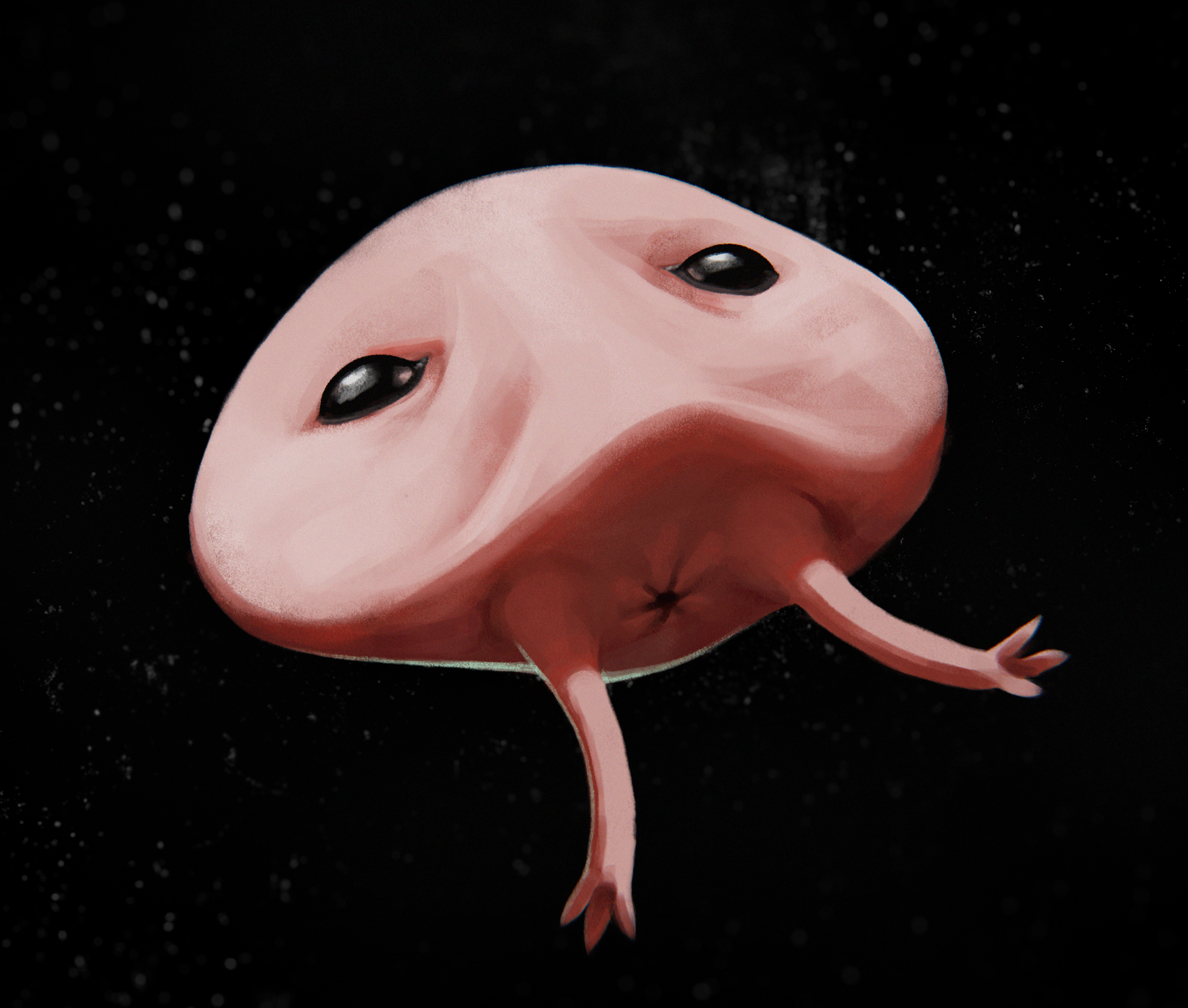 artwork: special squid